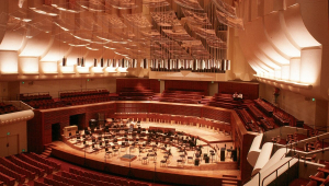 Image of San Francisco Symphony: The Ring - Film with Live Orchestra